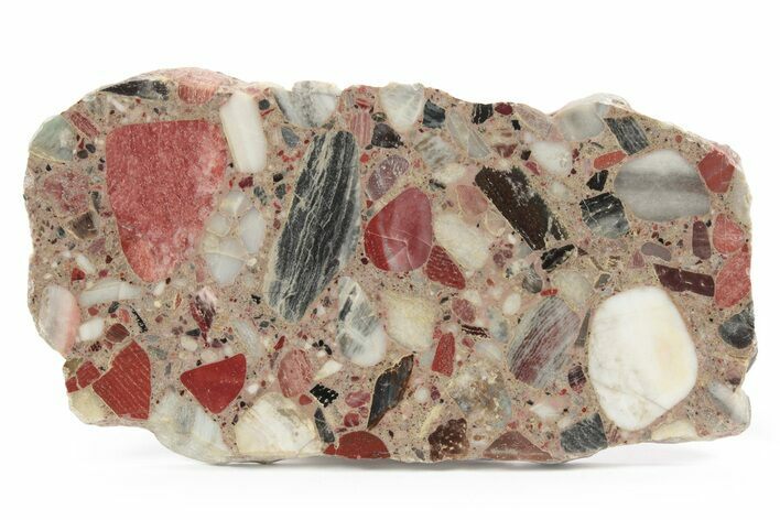 Polished Brecciated Chert Slab - Australia #240110